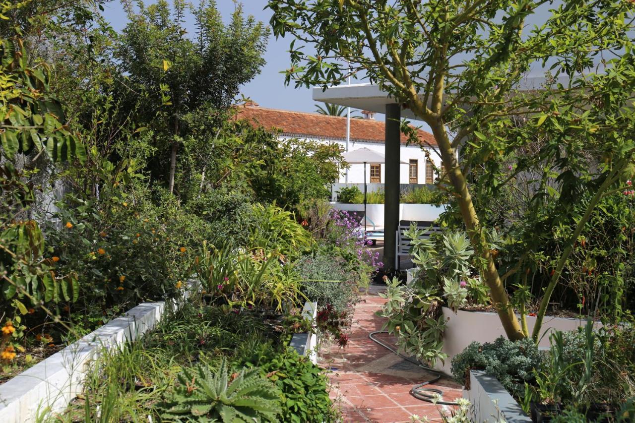 Jungle Paradise La Orotava Exteriör bild